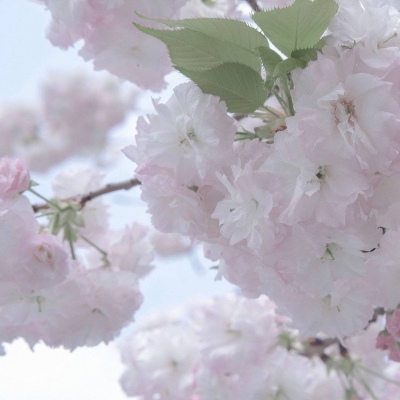 昆山福瑞交流群